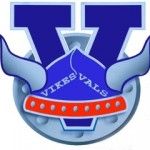 bv logo